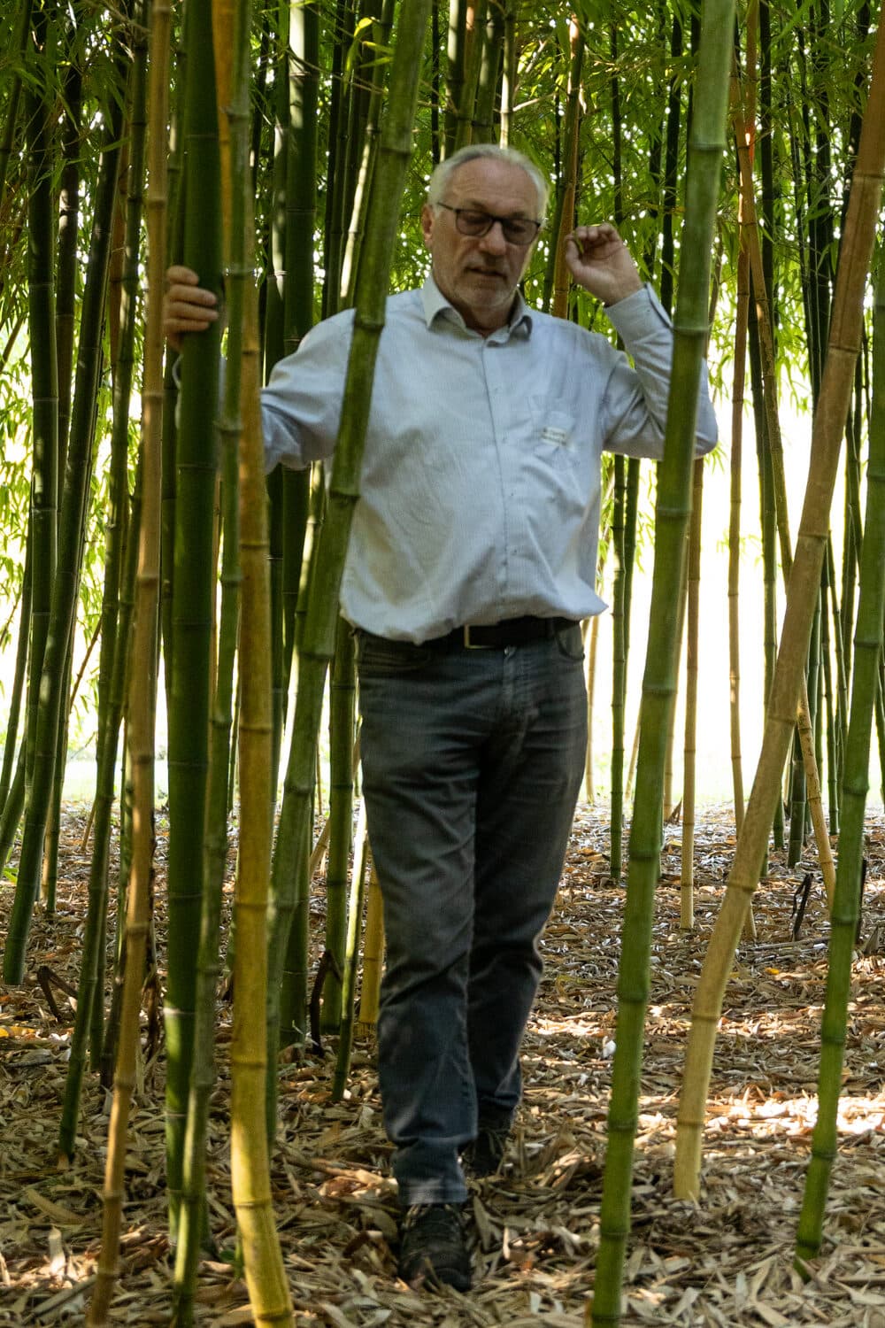 Jan Oprins