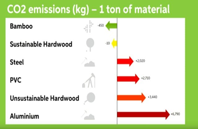 Bamboo is an efficient carbon remover