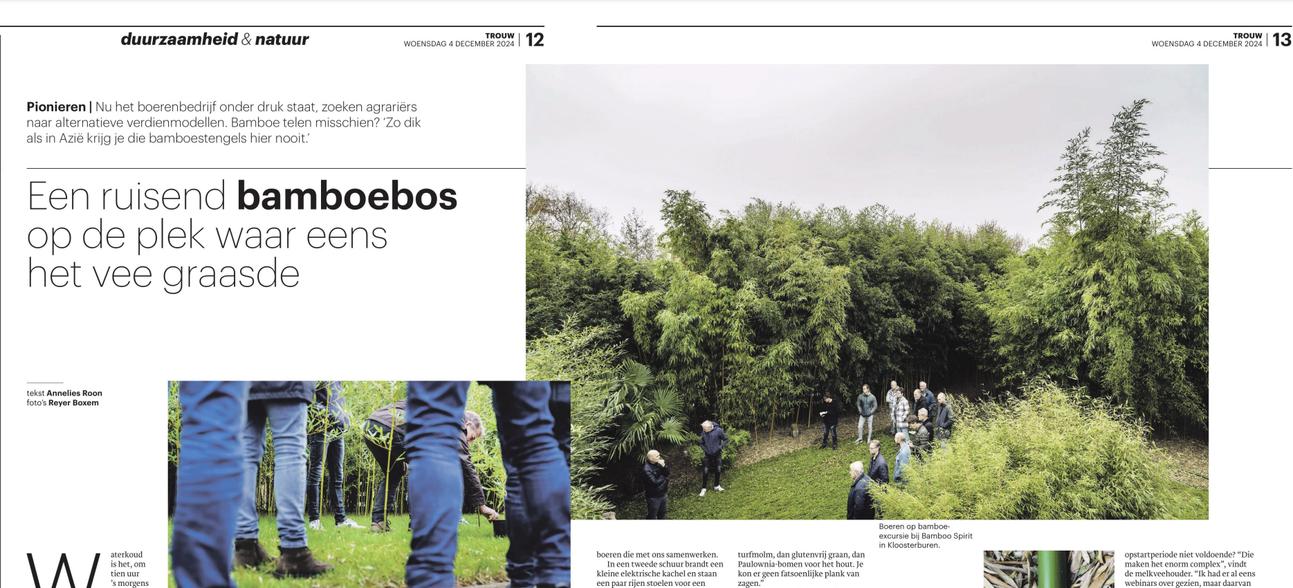 article_de_trouw_bambooforest_bamboo_carbon_removal_certificates